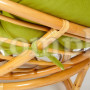 Кресло "PAPASAN" 23/01 W с подушкой, Honey (мед), флок Олива, 23